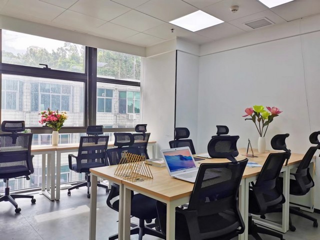 临沂防虫小麦种子招商